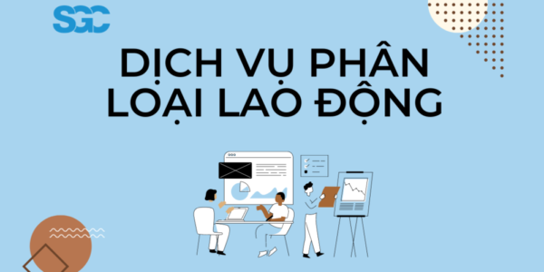 Dịch Vụ Phân Loại Lao Động